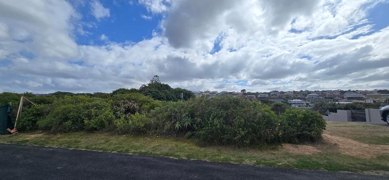 0 Bedroom Property for Sale in Tergniet Western Cape